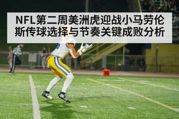 american football wide receiver catch
